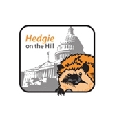 Picture: Hedgie on the Hill